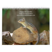 Calendrier Chipmunk 2026 (Protection)