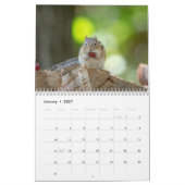 Calendrier Chipmunk 2026 (Jan 2027)