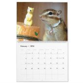 Calendrier chipmunk (All country) (Feb 2026)