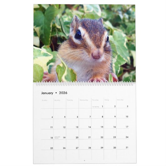 Calendrier chipmunk  (All country) (Jan 2026)