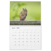 Calendrier Chipmunks dans les Adirondacks 2026 (Mar 2026)