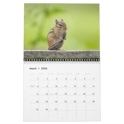 Calendrier Chipmunks dans les Adirondacks 2026 (Mar 2026)