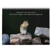 Calendrier Chipmunks dans les Adirondacks 2026 (Protection)