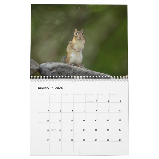 Calendrier Chipmunks dans les Adirondacks 2026 (Jan 2026)