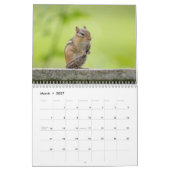 Calendrier Chipmunks dans les Adirondacks 2026 (Mar 2027)