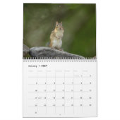 Calendrier Chipmunks dans les Adirondacks 2026 (Jan 2027)