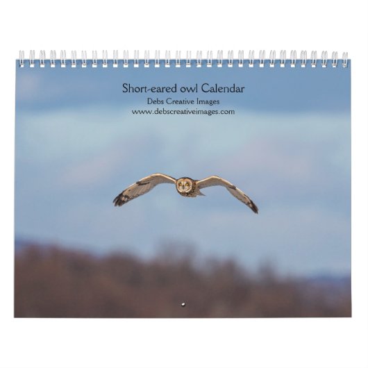 Calendrier Chouette à oreilles courtes 2026 (Protection)