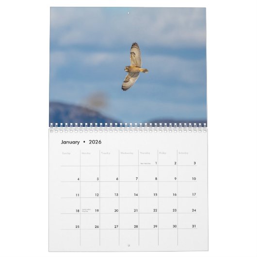 Calendrier Chouette à oreilles courtes 2026 (Jan 2026)