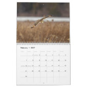 Calendrier Chouette à oreilles courtes 2026 (Feb 2027)