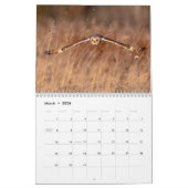 Calendrier Chouette à oreilles courtes 2026 (Mar 2026)