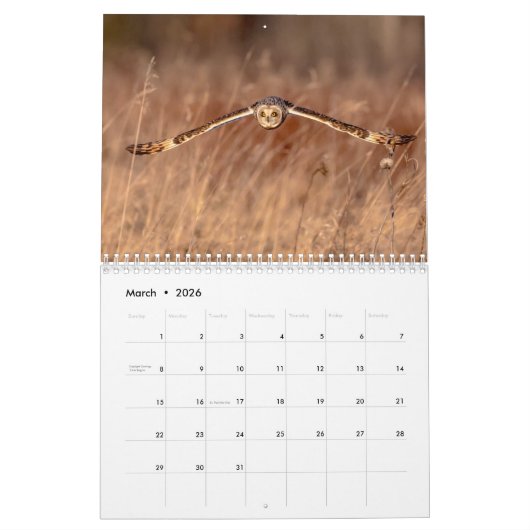 Calendrier Chouette à oreilles courtes 2026 (Mar 2026)