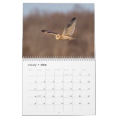 Calendrier Chouette à oreilles courtes 2026 (Jan 2026)