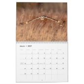 Calendrier Chouette à oreilles courtes 2026 (Mar 2027)