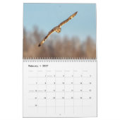 Calendrier Chouette à oreilles courtes 2026 (Feb 2027)