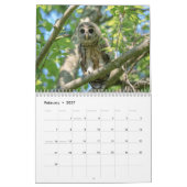 Calendrier Chouette barrée 2026 (Feb 2027)