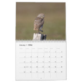 Calendrier Chouette bractée de Floride 2026 (Jan 2026)