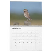 Calendrier Chouette bractée de Floride 2026 (Feb 2027)