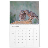 Calendrier Chouettes avec belle nature et paysages forestiers (Mar 2026)