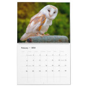 Calendrier Chouettes avec belle nature et paysages forestiers (Feb 2026)