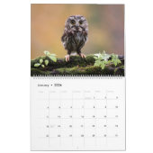 Calendrier Chouettes avec belle nature et paysages forestiers (Jan 2026)