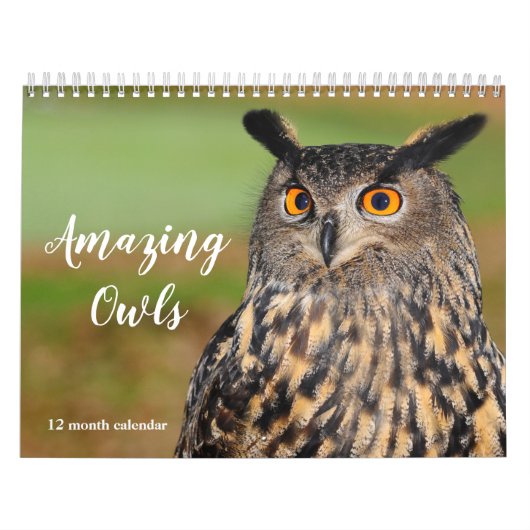 Calendrier Chouettes Extraordinaires 2026 (Protection)