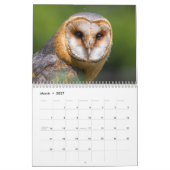 Calendrier Chouettes Extraordinaires 2026 (Mar 2027)