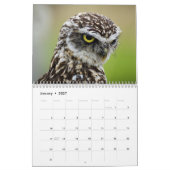 Calendrier Chouettes Extraordinaires 2026 (Jan 2027)