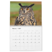 Calendrier Chouettes Extraordinaires 2026 (Feb 2027)