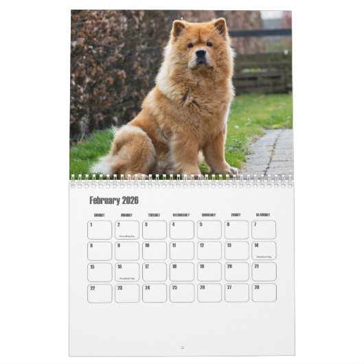 Calendrier Chow Chow Chien (Feb 2026)