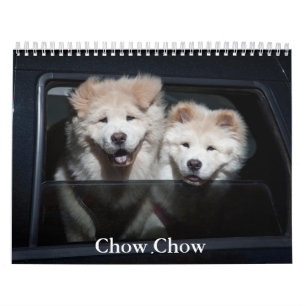 Calendrier Chow Chow Chien