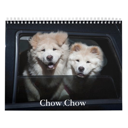 Calendrier Chow Chow Chien (Protection)
