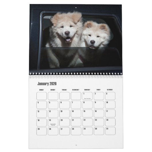 Calendrier Chow Chow Chien (Jan 2026)