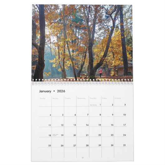 calendrier chypriote (Jan 2026)