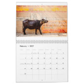 Calendrier Cinq continents par Patrick Niddrie (Feb 2027)