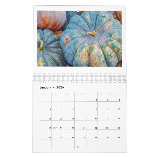 CALENDRIER citrouille ET CITROUILLE 2020 (Jan 2026)