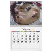 Calendrier Clara's Corner Groundhog Calendar A 2025 (Feb 2026)