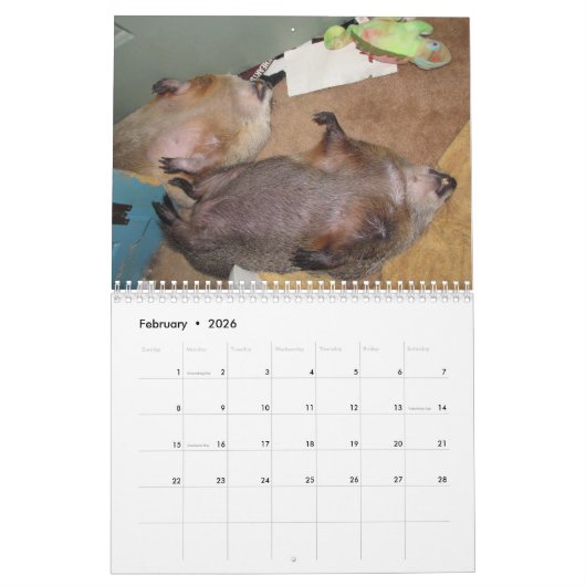 Calendrier Clara's Corner Groundhog Calendar G 2025 (Feb 2026)