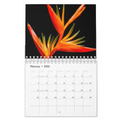 Calendrier Classique, Familaire (Feb 2026)