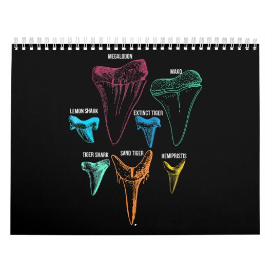 Calendrier Clé d'identité de la chasse aux dents de requin (Protection)
