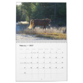 Calendrier Clifford d'île de Drummond (Feb 2027)