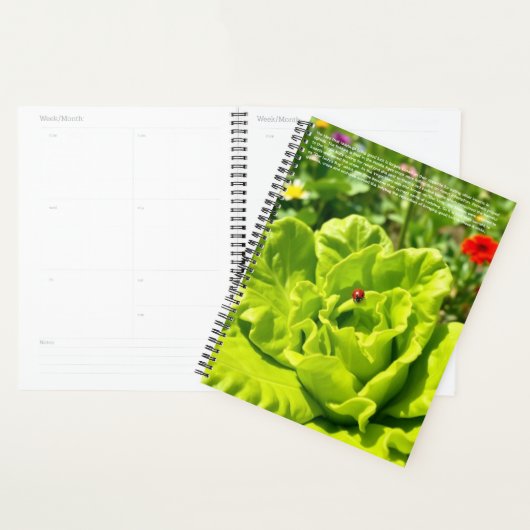 Calendrier coccinelle (Devant avec enveloppe)
