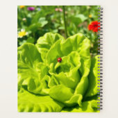 Calendrier coccinelle (Dos)