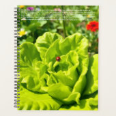 Calendrier coccinelle (Devant)