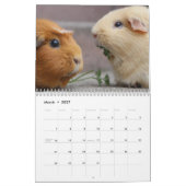 Calendrier Cochon de Guinée 2024 (Mar 2027)