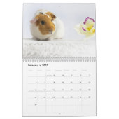 Calendrier Cochon de Guinée 2024 (Feb 2027)