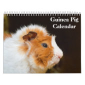 Calendrier Cochon de Guinée 2025 (Protection)