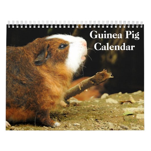 Calendrier Cochon de Guinée 2025 (Protection)