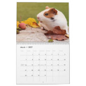 Calendrier Cochon de Guinée 2025 (Mar 2027)