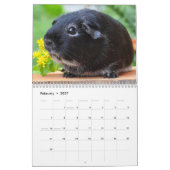 Calendrier Cochon de Guinée 2025 (Feb 2027)