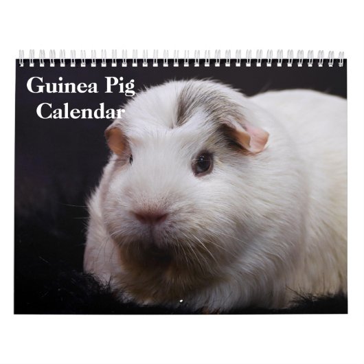 Calendrier Cochon d'Inde 2027 (Protection)